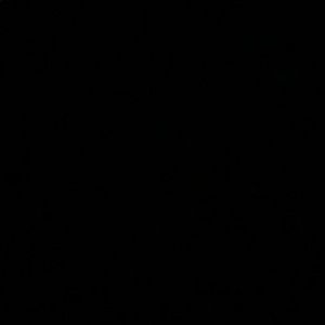 Meet your Posher, Gunnar